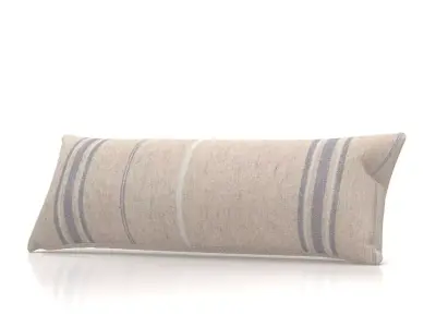 Neptune Grace Cushion 3D model