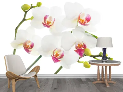 Photo Wallpaper No 45 Low-poly 3D model