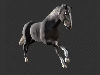 Animated Black Horse Low-poly 3D model