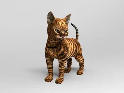 Wild Cute Cat Rigged  Low-poly 3D model purchase