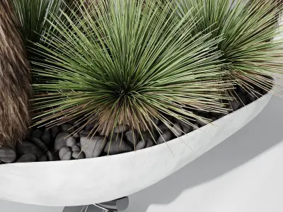 HQ Plants Yucca Elephantipes Queretaroensis Set01 3D model