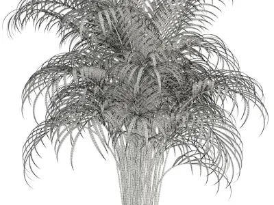 Plants collection 97 3D model