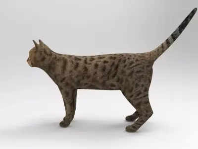 3D cat animated 3d low poly  Low-poly 3D model