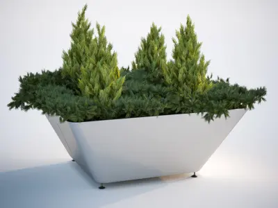 Lush green bush in planter 3D model