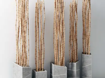 Bamboo vase slice thin branch decor n3 3D model