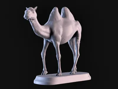 Camel 3D print model