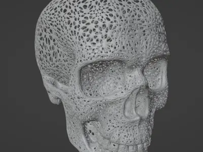 FILIGREE HUMAN SKULL 3D print model