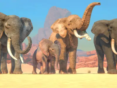 African Elephants Low-poly 3D model