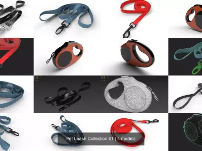 Pet Leash Collection 01 3D Model Pack