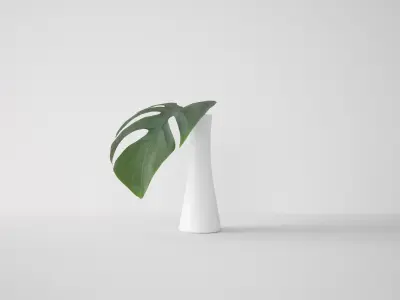 Monstera Leaf 3D model