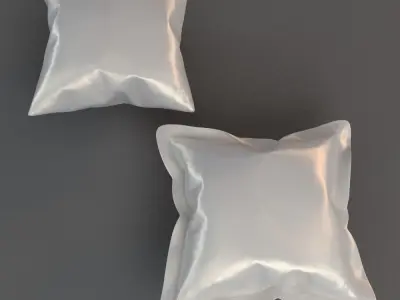 Pillows pair of shells 3D model