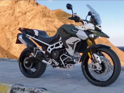 Triumph Tiger 900 RallyPro 3D model