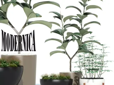 Plants collection 73 Modernica pots 3D model
