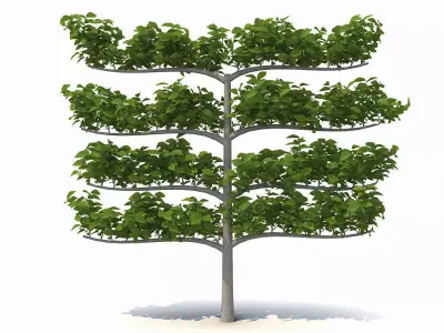 Decorative branch tree 3D model