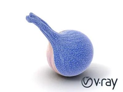 Elegant Shallot Model Pack with Detailed Texture Low-poly 3D model