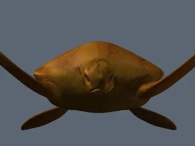 Turtle Sculpture 3D model