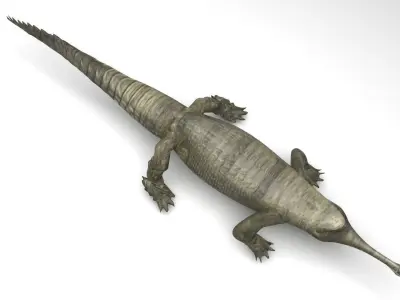 Crocodile 3D model