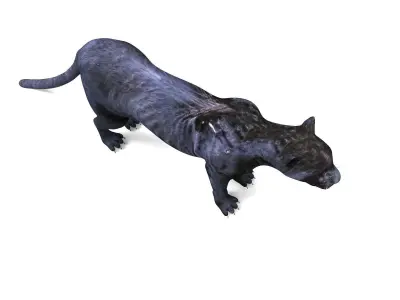 Black Panther 3D Models game ready Low-poly 3D model