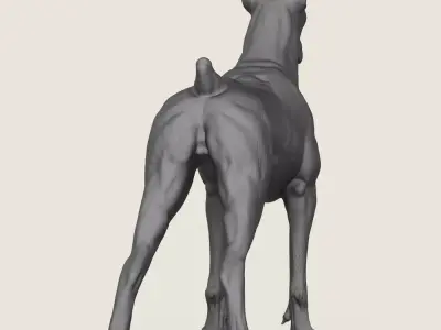Doberman Dog Pose Collection 3D print model