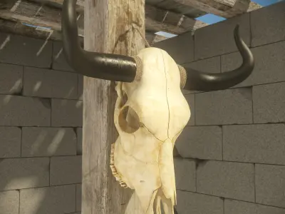Cow skull 3D model