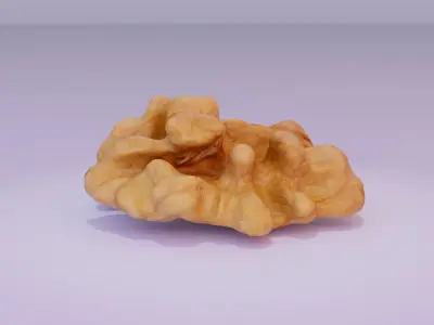 Walnut half kernel high-poly 3D model