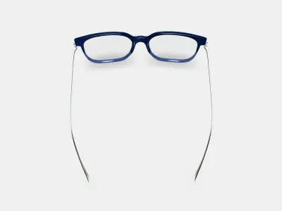 Caleb Eyeglasses in Midnight Fade with Polished Silver 3D model