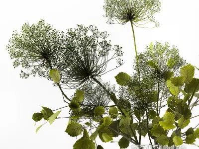 Decorative Bouquets From Branches In Vases 240 3D model