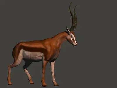 animated gazelle 3D model
