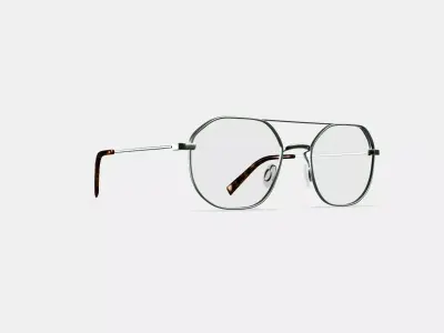 Renaldo Eyeglasses in Antique Silver 3D model