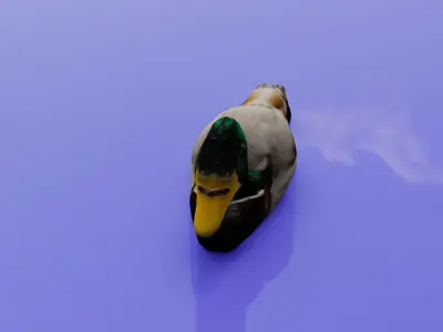 Duck 3D model Low-poly 3D model