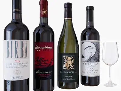 Wine bottle set 8 3D model