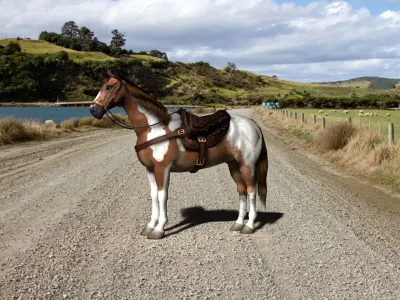 Pinto Horse with saddle and bags Low-poly 3D model