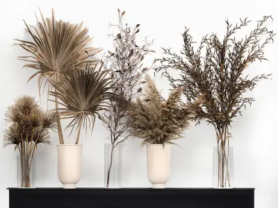 Bouquet collection of dried flowers in a vase 181 3D model