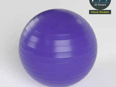 Fitball exercise ball 3D model
