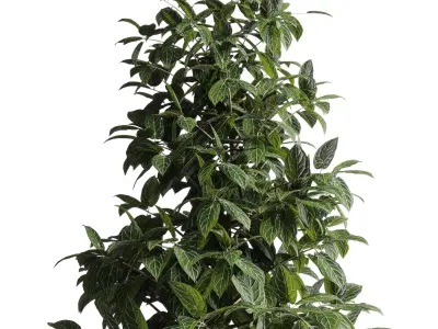 indoor plant 295 pot plant concrete dirt vase Low-poly 3D model