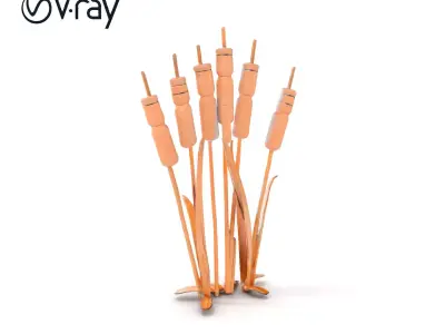 Cattail Plant D Model Pack Low-poly 3D model