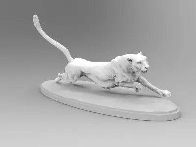 cheetah 3D model buy