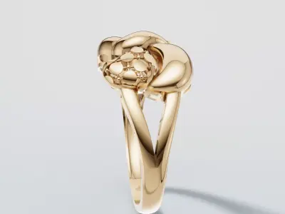rings 3D print model