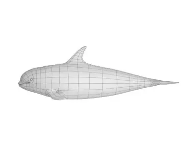 Whale Base Mesh Low-poly 3D model