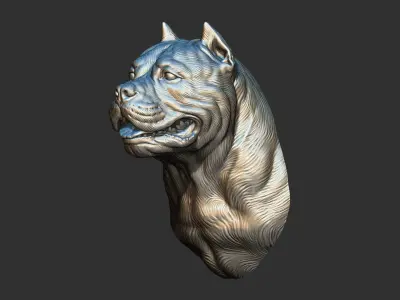 American bully head version 2 3D print model