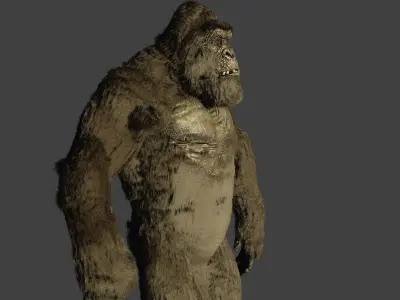 kong 2021 rig Free 3D model