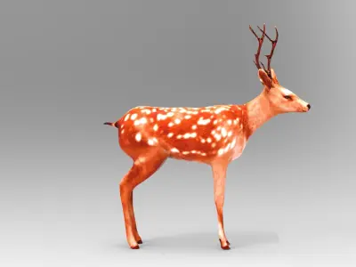 Deer Rigged Low-poly 3D model