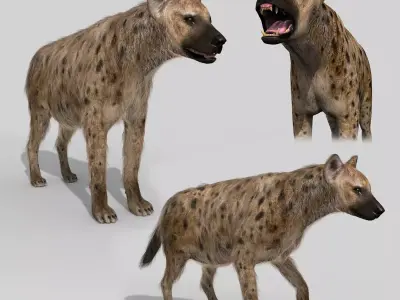 Hyena value - 3d animated hyena model 3D model