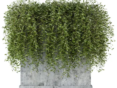 Outdoor Plants in rusty Concrete Pot - Set 8 3D model