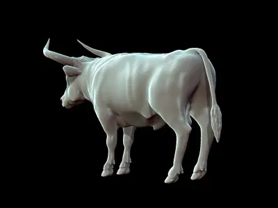 Bull Aurochs Highpoly Model 3D model