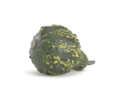 Decorative Pumpkin Gourd 3 3D model