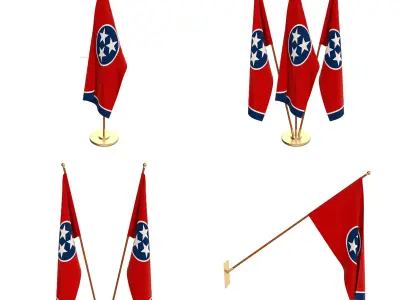 Tennessee Flag Pack 3D model