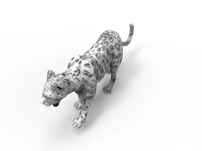 Rigged and Animated White Leopard 3D Low-poly 3D model