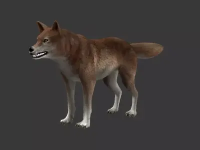 Brown Wolf Low-poly 3D model