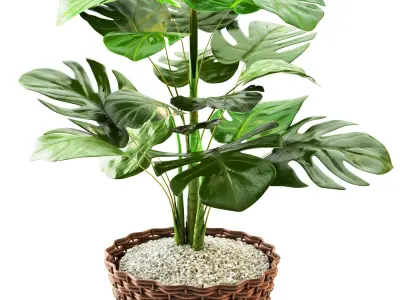 plant collection set 02  3D model
